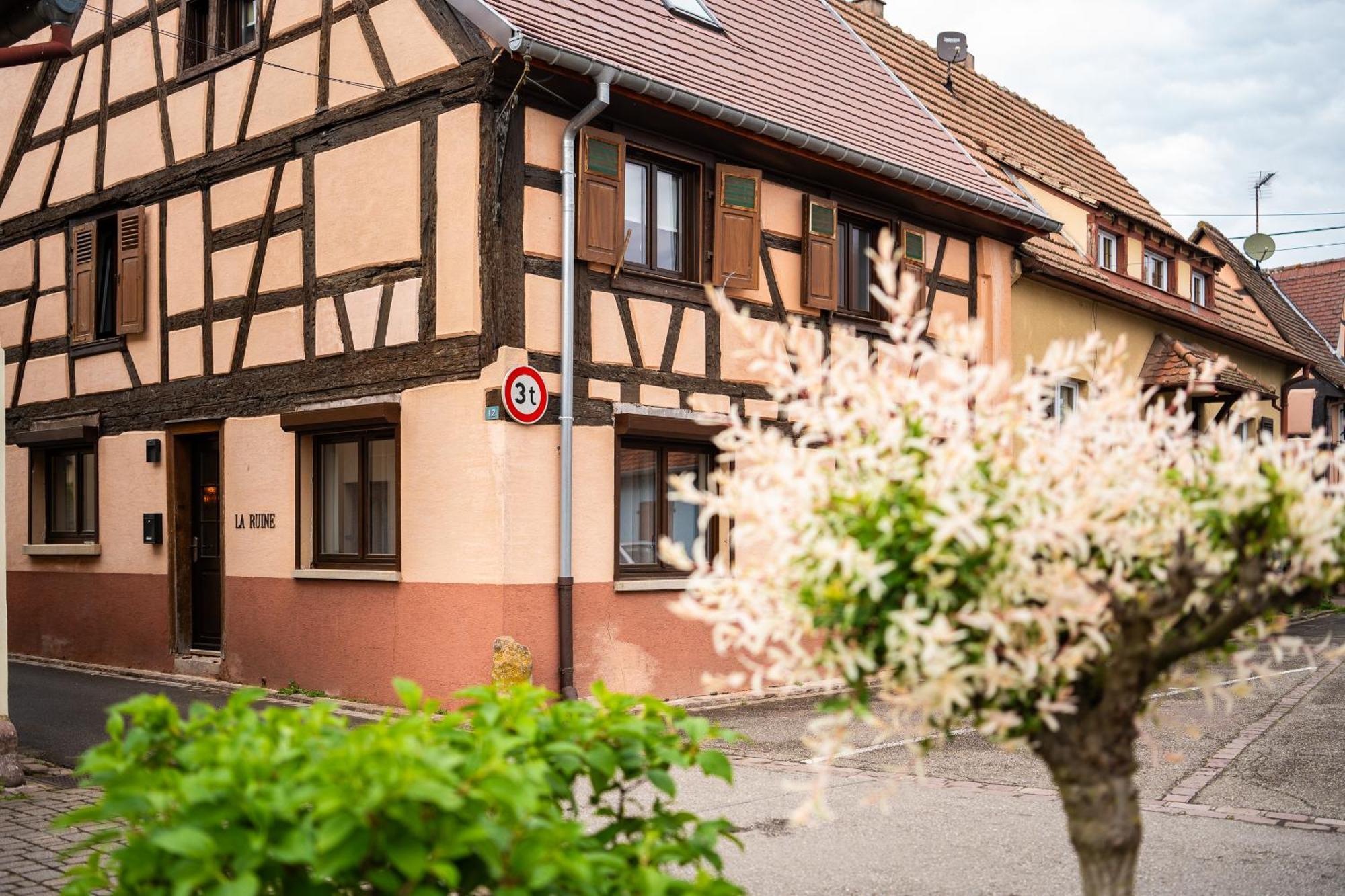 La Ruine - Gite D'Alsace Jusqu'A 10 Personnes Avec Spa Interieur Guémar Exterior foto